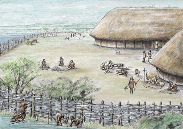 Illustrationen
